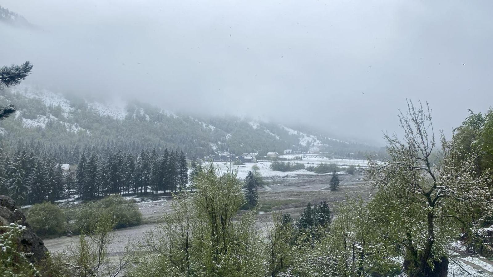 Guesthouse Mountain Βαλμπόνα Εξωτερικό φωτογραφία